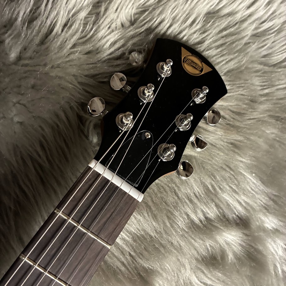 Pignose PGG-200V STBR エレキギター アンプ内蔵 ミニギター（新品