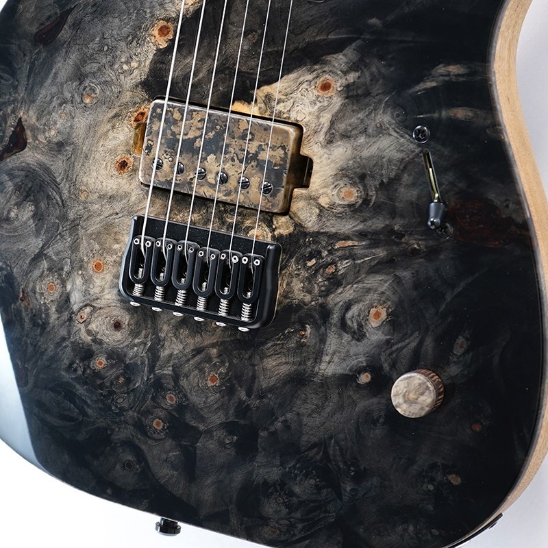 MAYONES 40th Anniversary Buckeye Burl Series Duvell Elite 6 (Trans