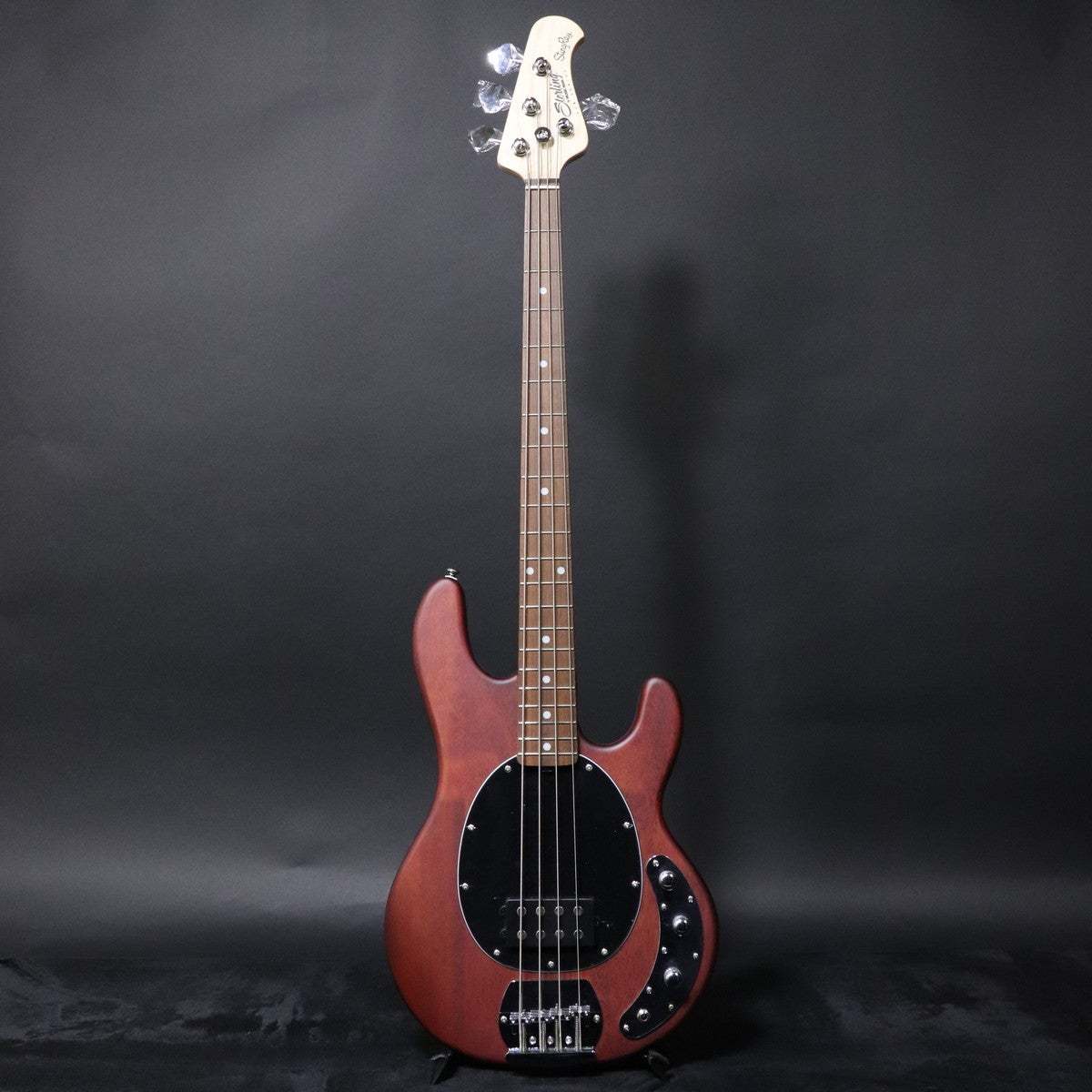Sterling by MUSIC MAN S.U.B RAY4 Walnut Satin 【梅田店】（新品
