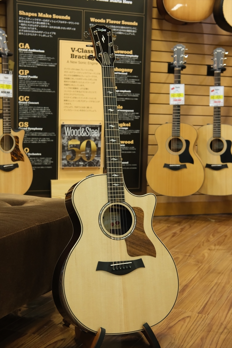 Taylor 814CE V-class J-Spec (特別仕様) オマケ付 Taylor テイラー 814ce J-Spec 日本限定仕様 エレアコ