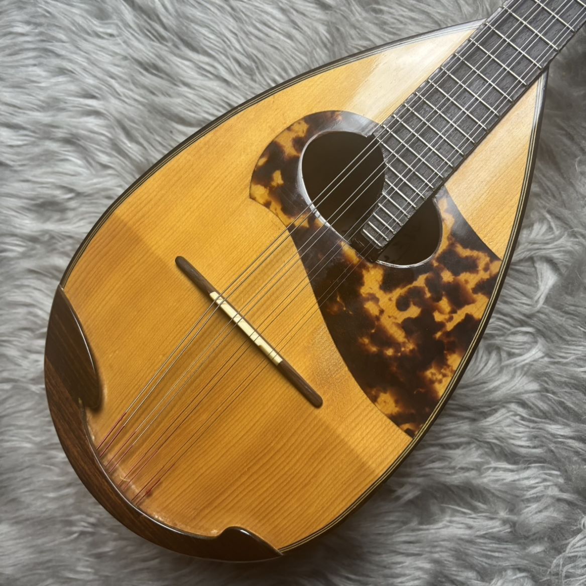 石川マンドリン No.43（中古/送料無料）【楽器検索デジマート】
