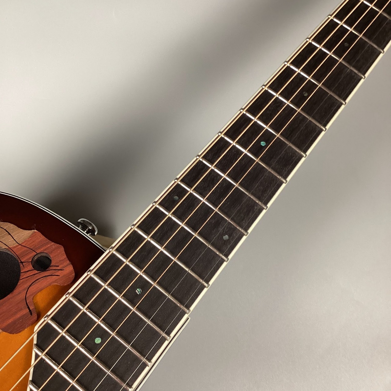 Ovation CE48-1-G エレアコギター アコースティックギター
