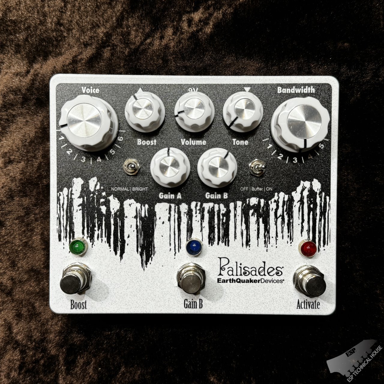 今日の超目玉】 【こうき】新品 EarthQuaker Devices Palisades ギター