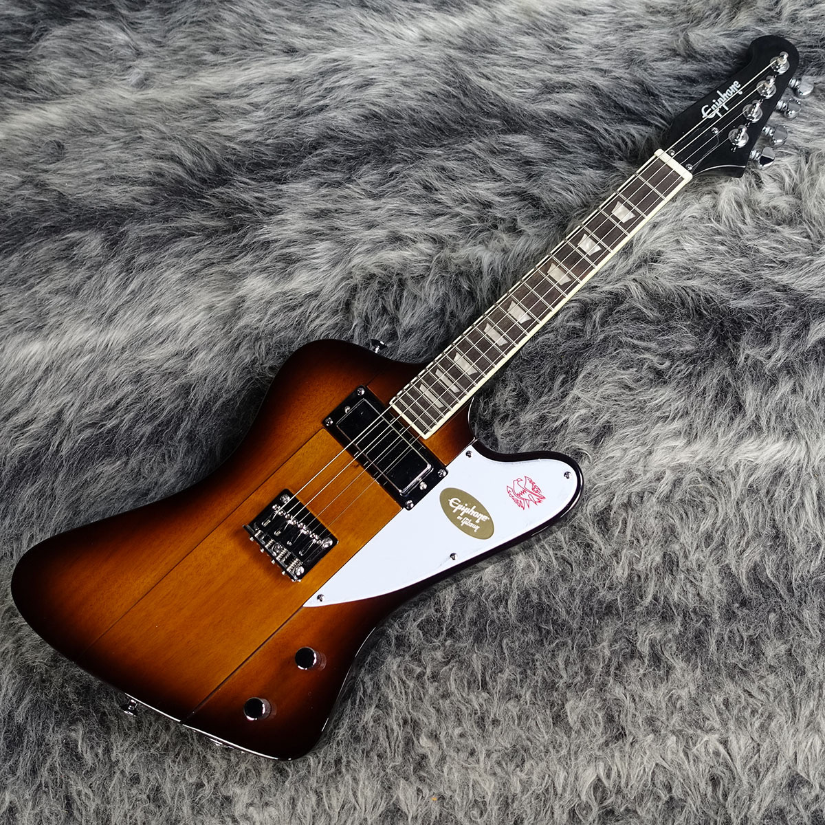Epiphone Mandobird IV エレキマンドリン マンドバード
