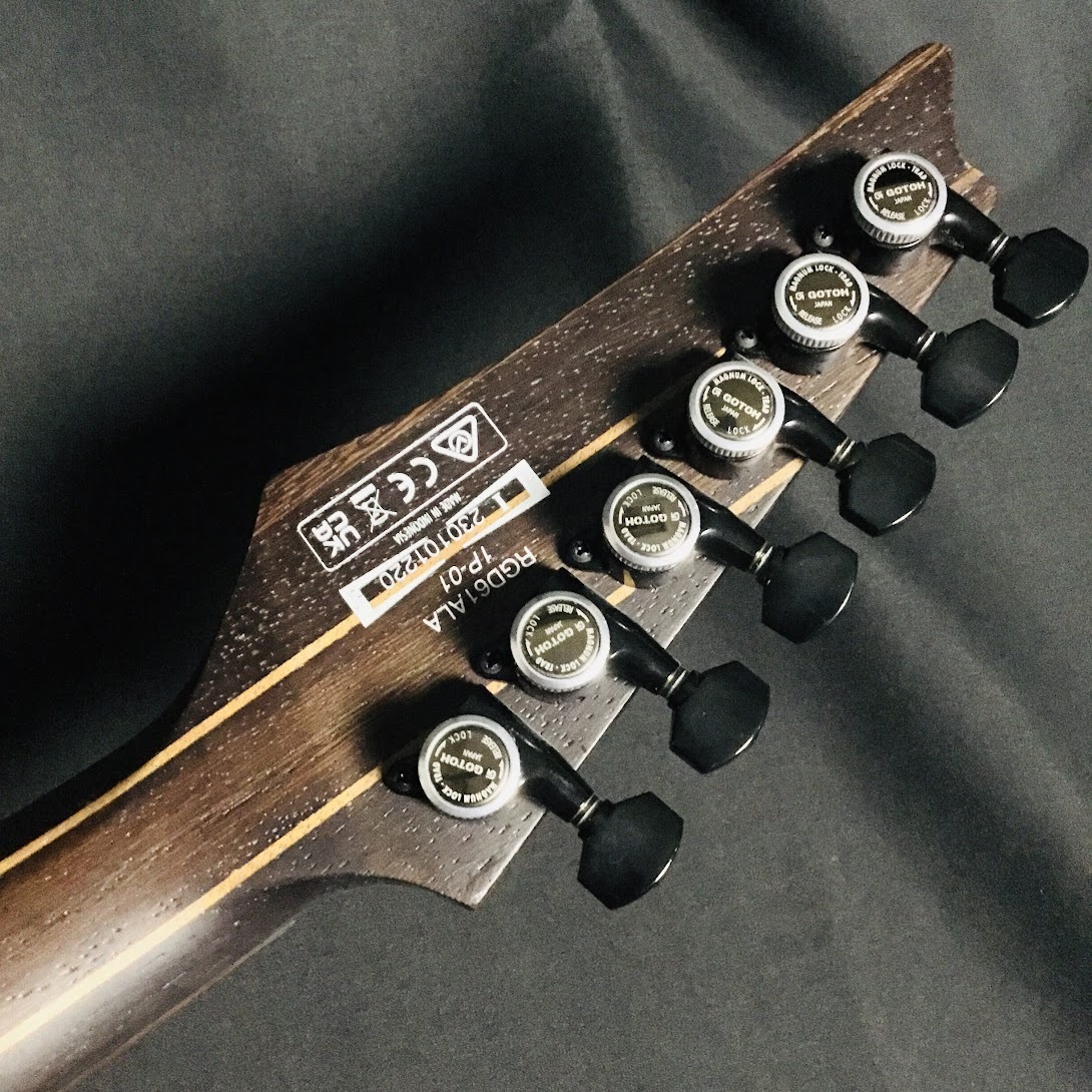 Ibanez RGD61ALA Midnight Tropical Rainforest（新品/送料無料