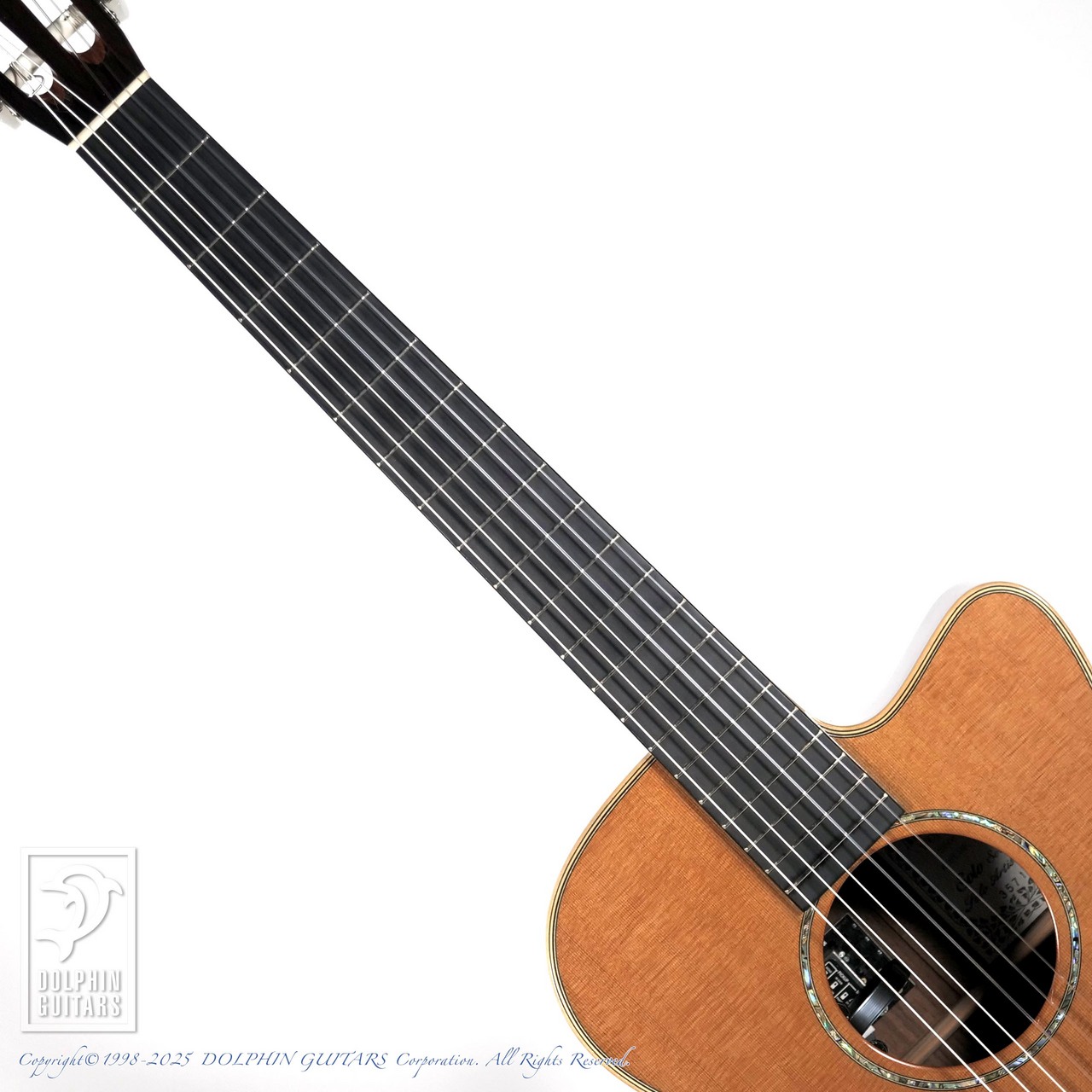 ASTURIAS Solo Artist C（中古）【楽器検索デジマート】