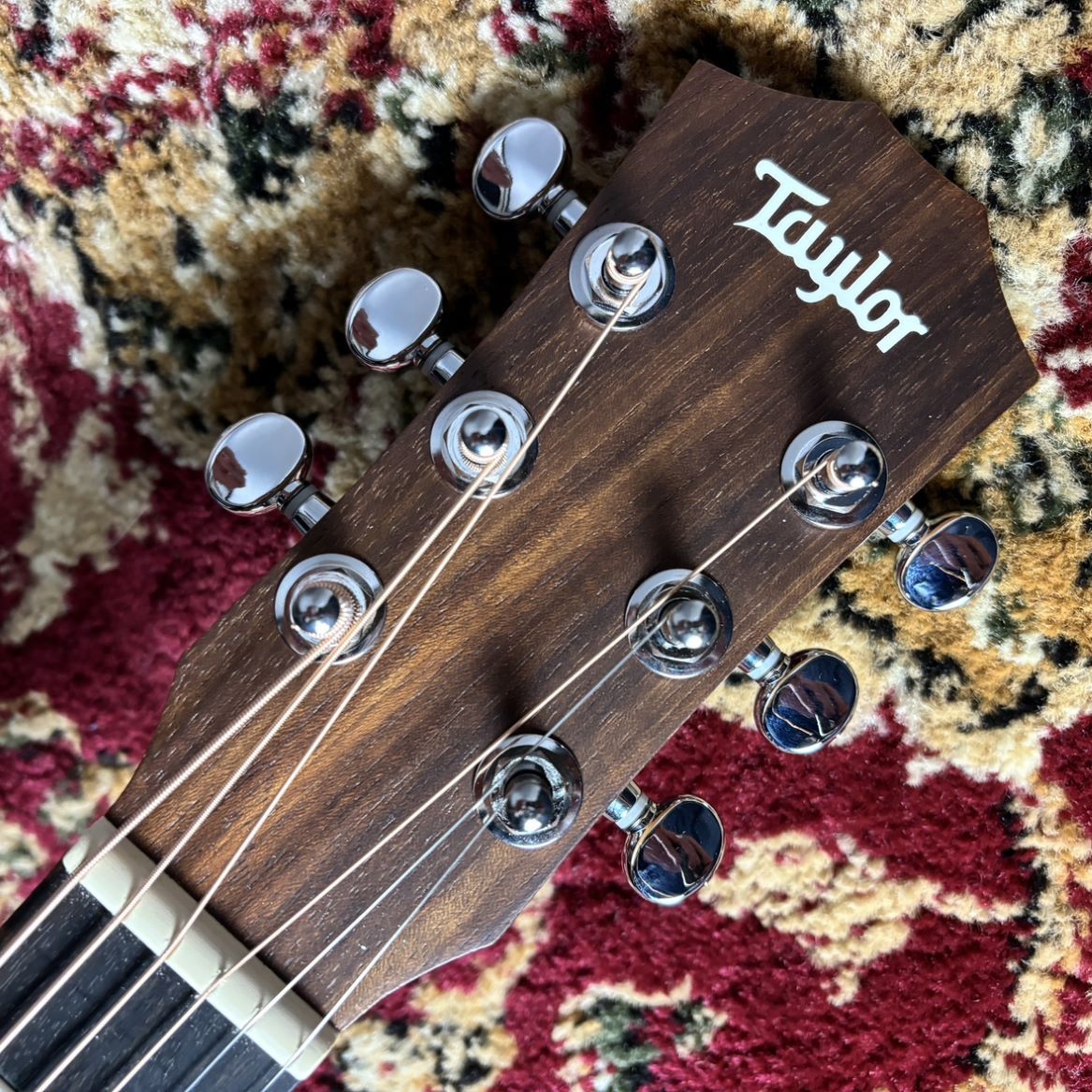 Taylor （テイラースウィフト）TSBT Taylor Swift Baby Taylor ミニ