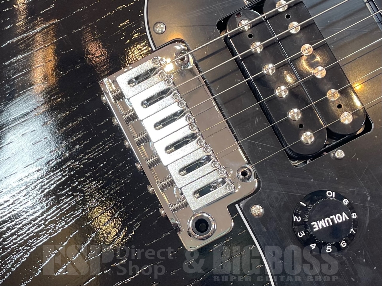 EDWARDS E-SNAPPER-AS/M【Solid Black】（新品/送料無料）【楽器検索 