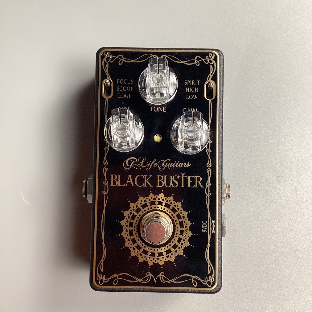 G-Life Guitars BLACK BUSTER【現物画像】【新品特価品】（新品