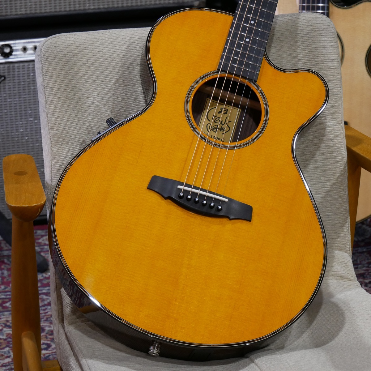 美品/良音/ProMartin　EA450WRS 純正エレアコ　弦低め　弦新品 美品/良音/ProMartin EA450WRS 純正エレアコ 弦低め 弦新品 Amazon.co