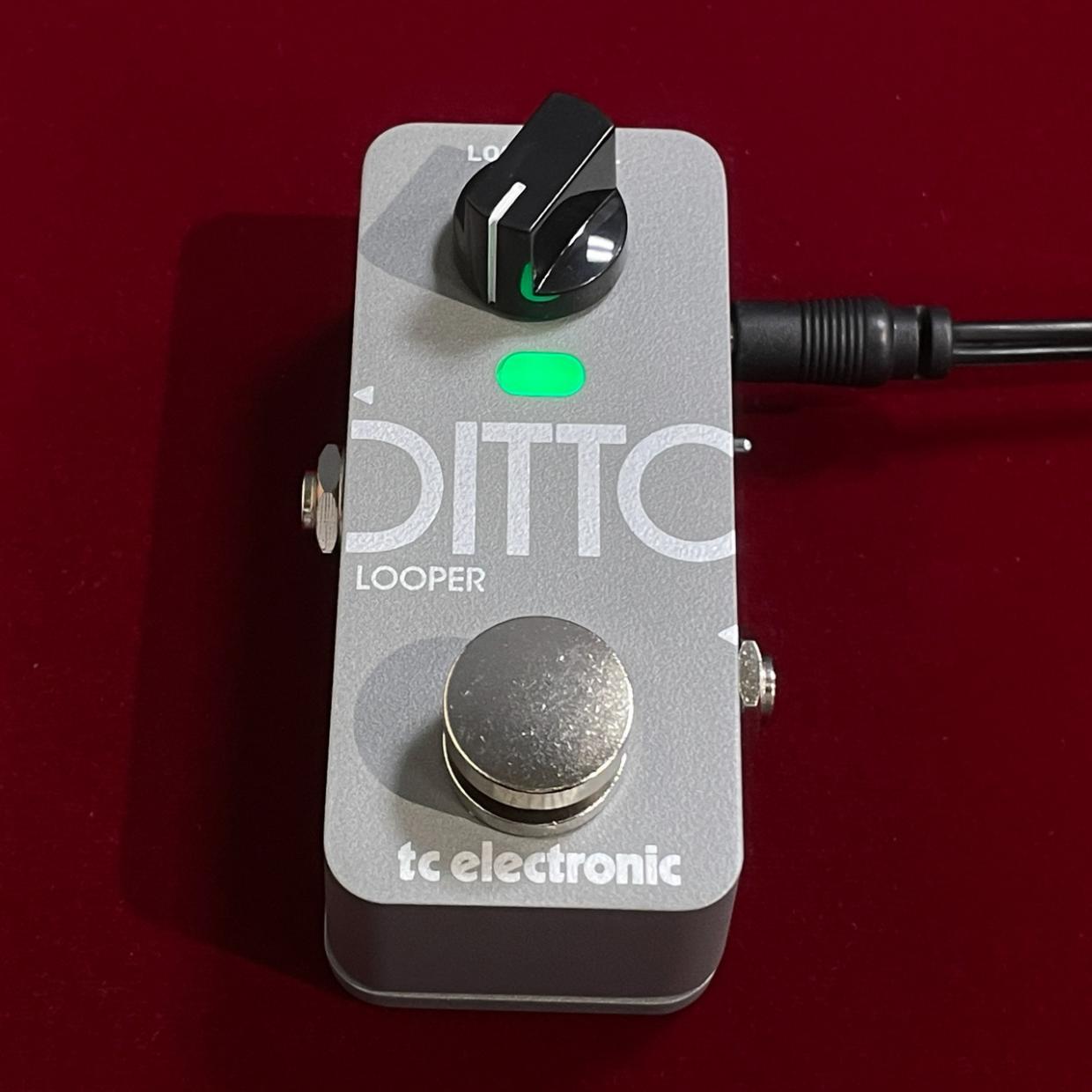 tc electronic DITTO 2 LOOPER（新品/送料無料）【楽器検索デジマート】