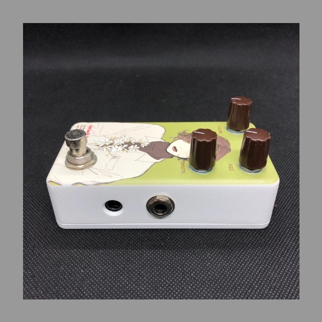 Animals Pedal Custom Illustrated 040 Sunday Afternoon Is Infinity