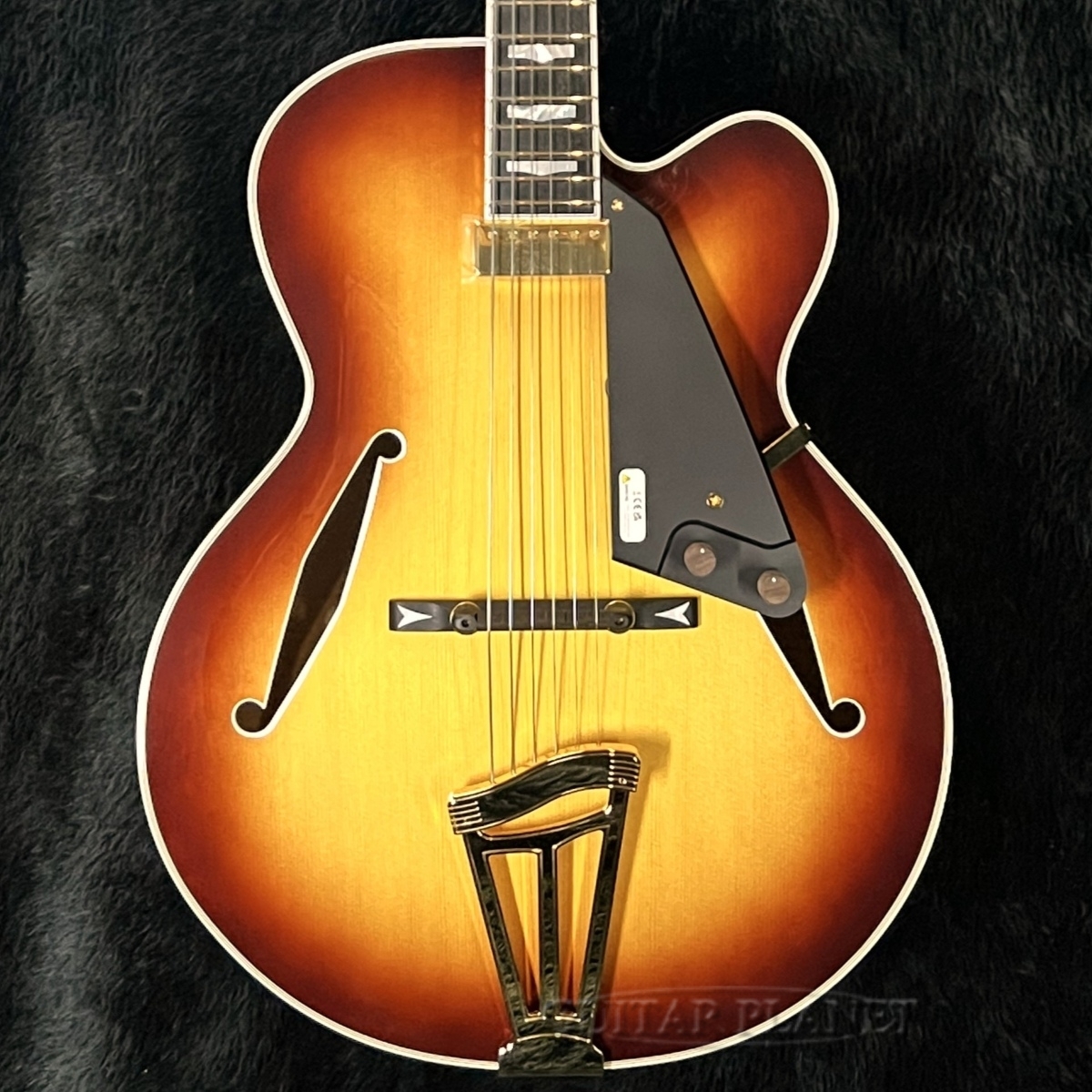 FUJIGEN(FGN) MFA-FP -JB (Jazz Burst)-【2.8kg】【コイルタップ付
