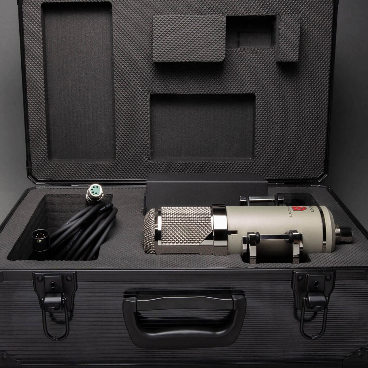 Lauten Audio LT-386 EDEN ◇ ブラックフライデーセール!(12/1まで