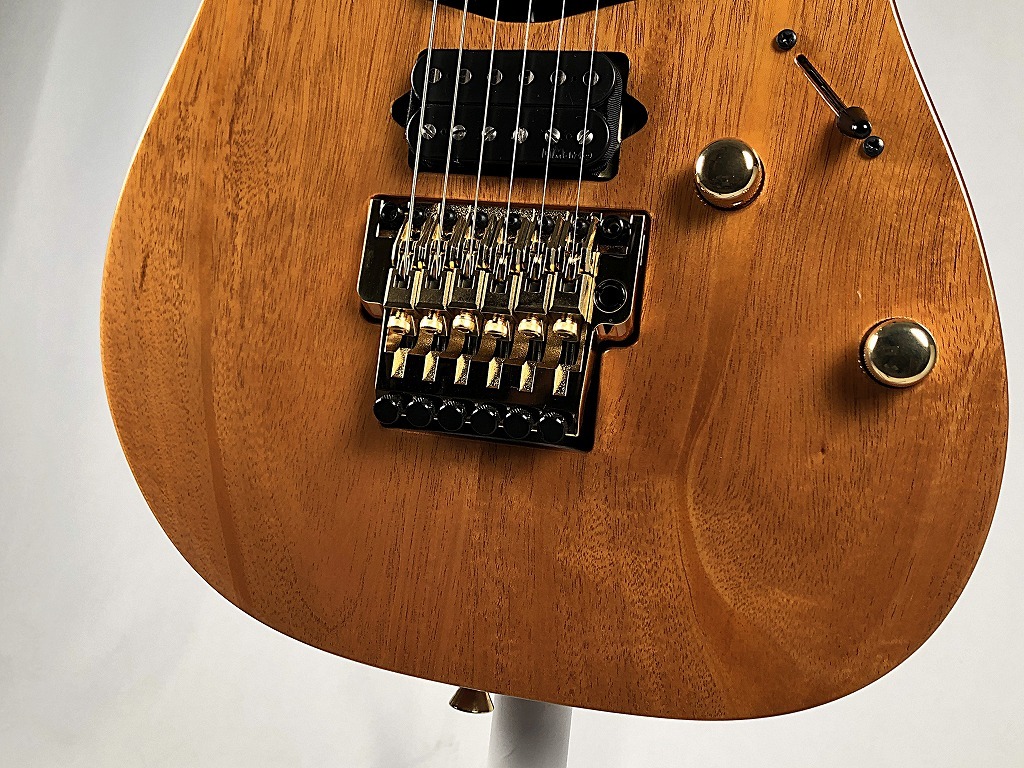 Ibanez 【日本製】【Ibanezの最高峰モデル j.custom】RG8570MH