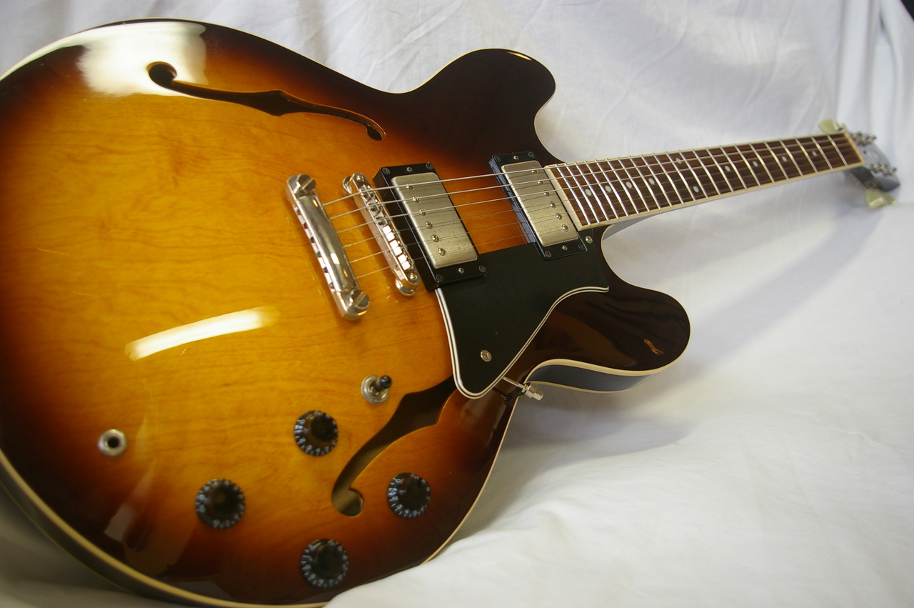 Cort Source 335（中古）【楽器検索デジマート】