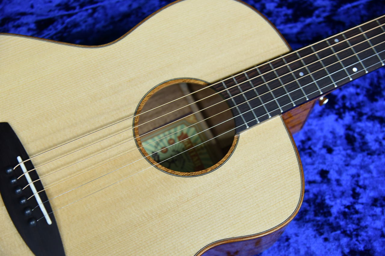 aNueNue aNN-LF23（中古）【楽器検索デジマート】