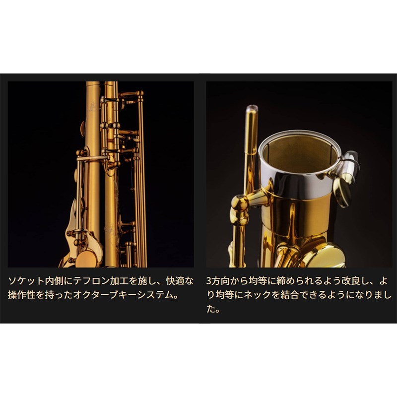Selmer Paris テナーサックス セルマー Supreme シュプレーム DGL