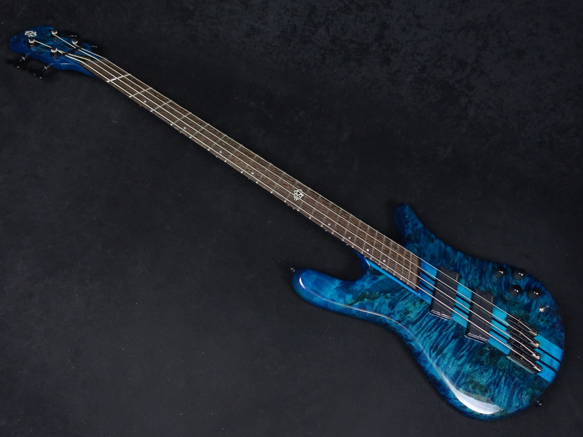 Spector NS Dimension MS 4 Black & Blue Gloss（新品）【楽器検索デジマート】