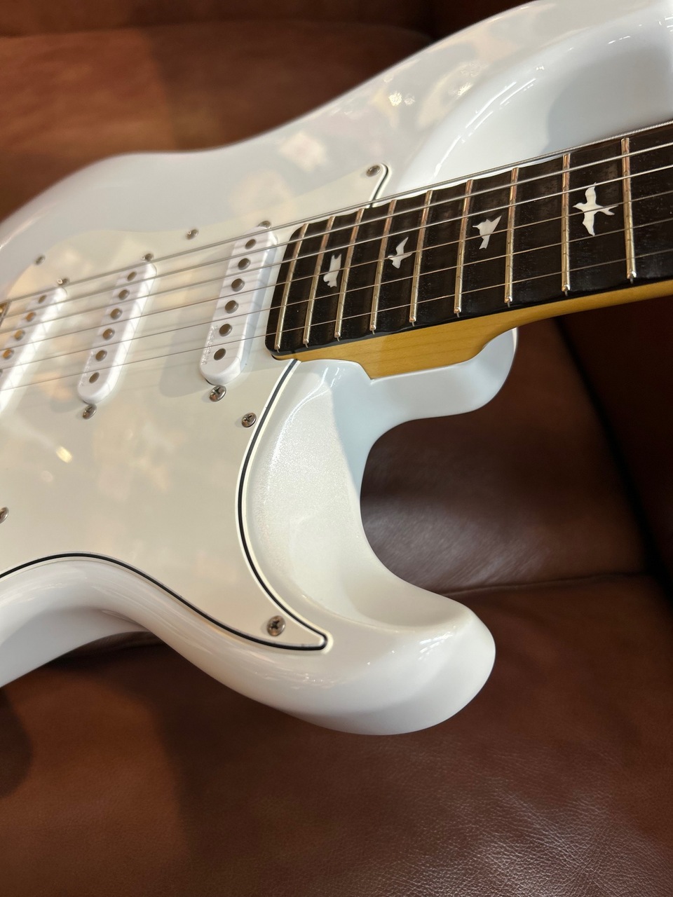 Paul Reed Smith(PRS) 【スキャロップド加工】SILVER SKY Mod ～Frost