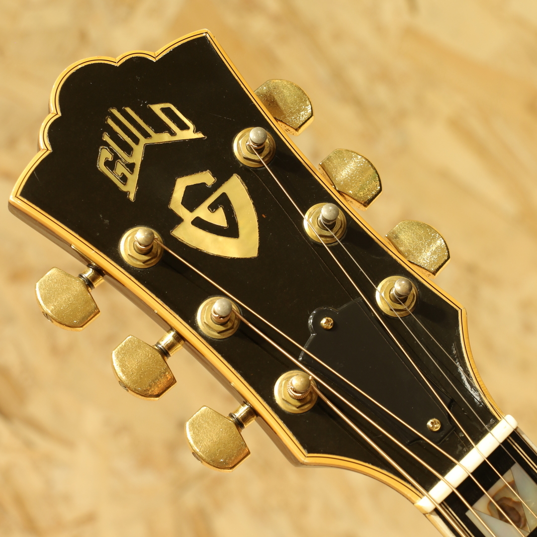 アルバトス　Guild D-55　ミニチュアギター模型 GUILD D-55|ドルフィンギターズ