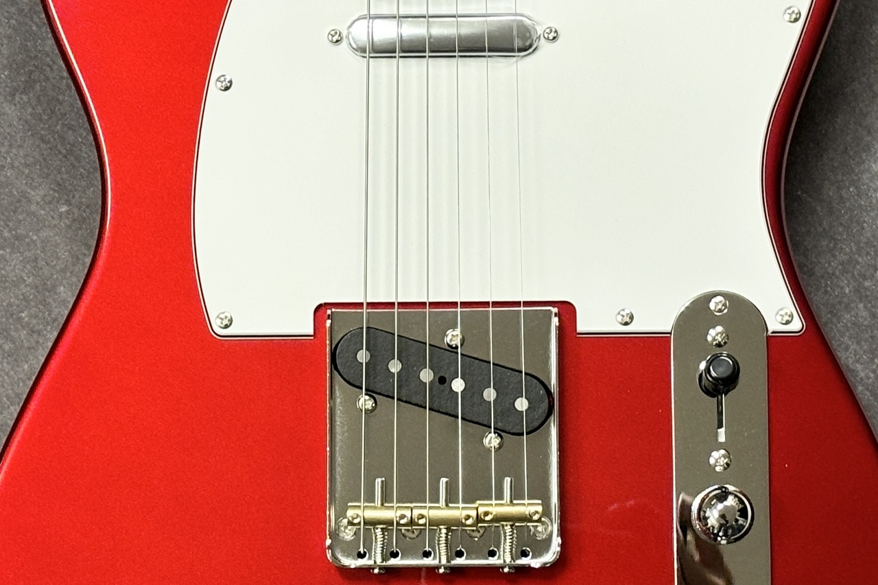 FUJIGEN(FGN) BCTE100RBD-CAR/01【GIB兵庫】（B級特価/送料無料
