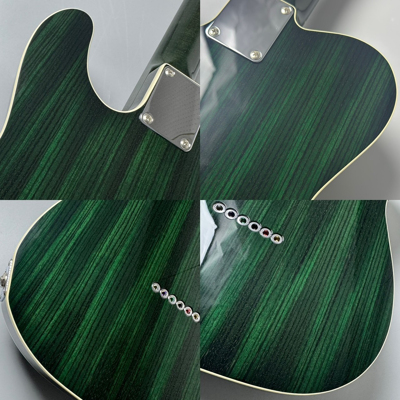 FREEDOM CUSTOM GUITAR RESEARCH C.S. TE Pepper Semi Hollow -Moss