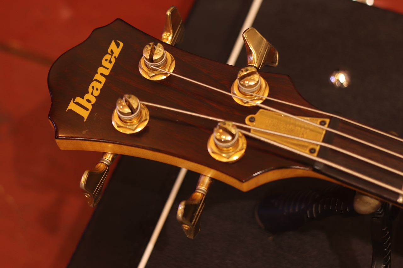Ibanez MC-824 1985 Dark Stain（ビンテージ/送料無料）【楽器検索