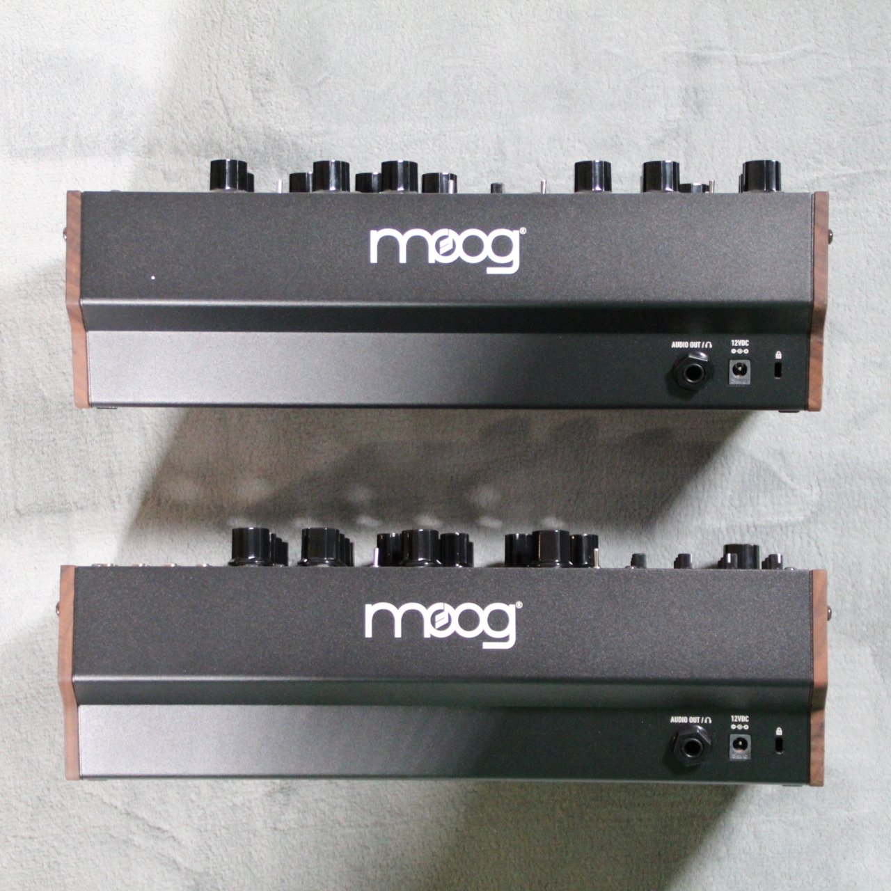 Moog Moog Sound Studio: DFAM & Subharmonicon（B級特価/送料無料