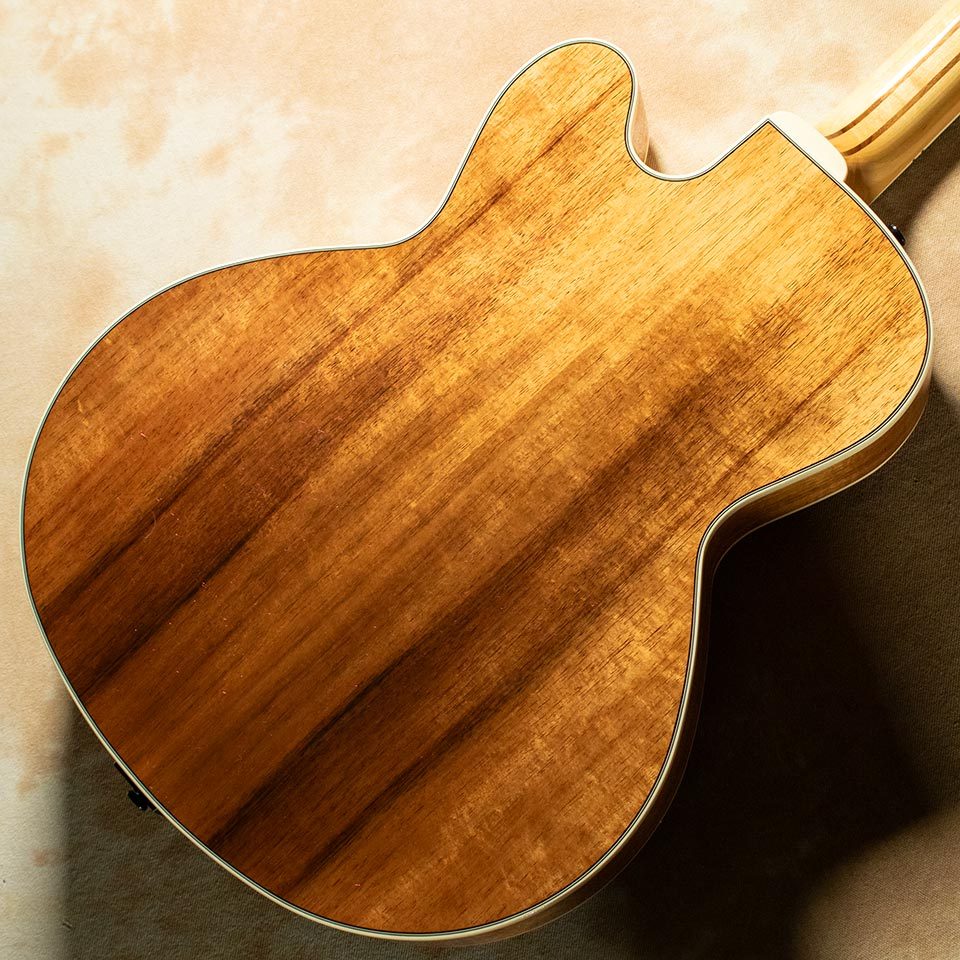 Kikuchi Guitars Archtop NY155 Ltd Exotic Blackwood（新品）【楽器