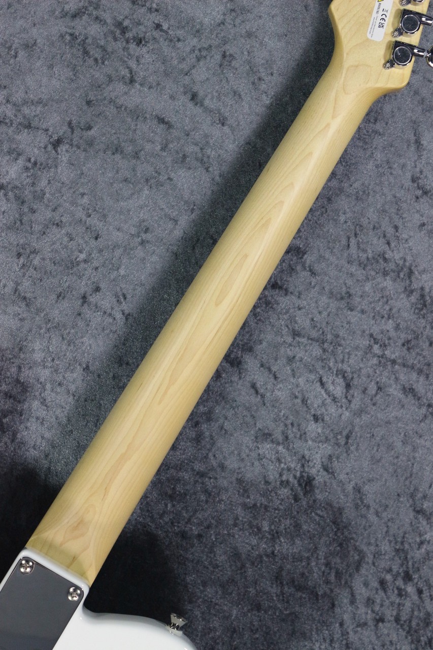 FUJIGEN(FGN) 【軽量個体3.12kg】BCTE100RBD Snow White