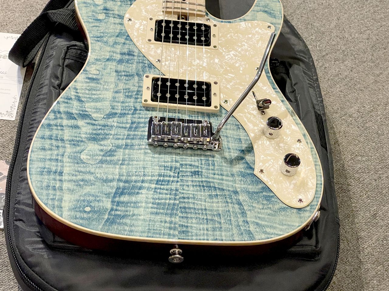 Bacchus Hand Made Series T-CUSTOM・FT/M（中古）【楽器検索