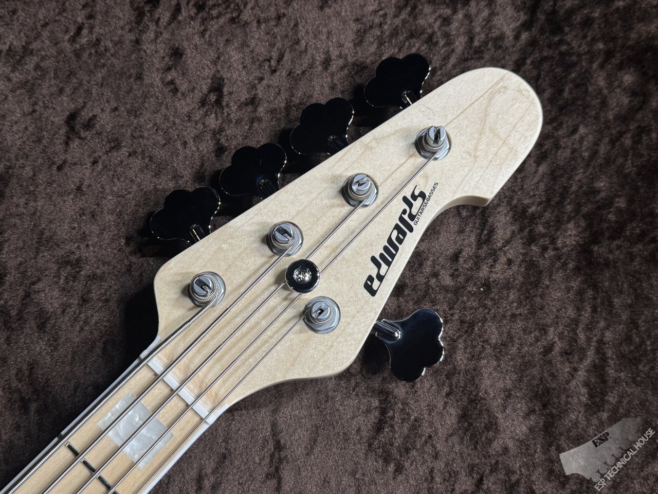 EDWARDS E-AMAZE-AS-5/M【Solid Burner】（新品/送料無料）【楽器検索