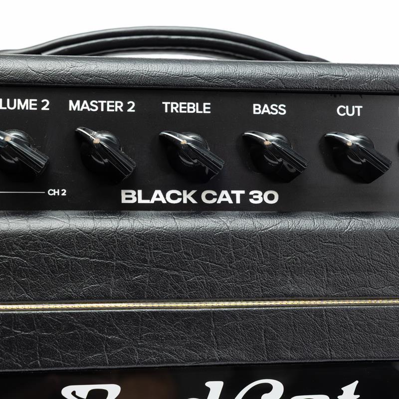 Bad Cat Mod Shop Black Cat 30 Head（バッドキャット）（新品）【楽器
