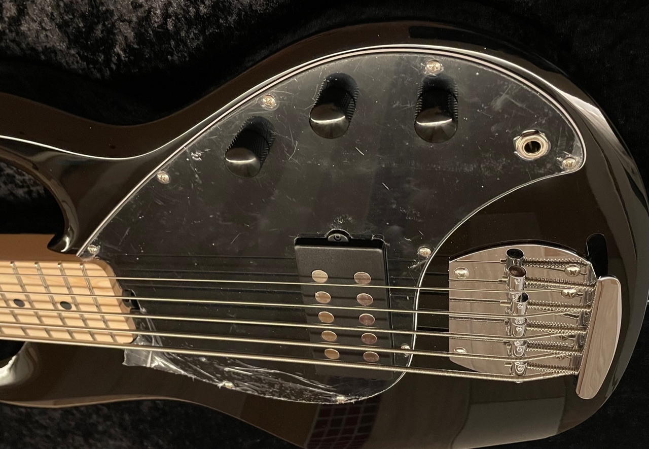 Sterling by MUSIC MAN S.U.B StingRay5（新品/送料無料）【楽器検索