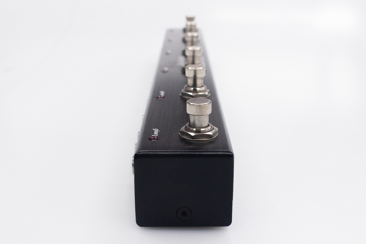 ONE CONTROL 【used】One control / Iguana Tail Loop 2【横浜店