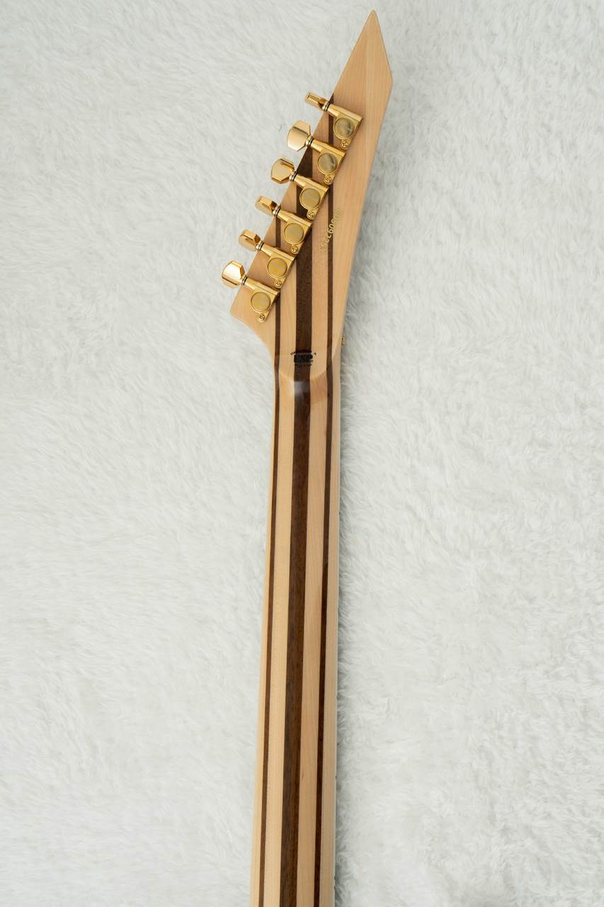 EDWARDS E-CY-CTM -Dark Aqua- 【限定生産モデル】（新品/送料無料