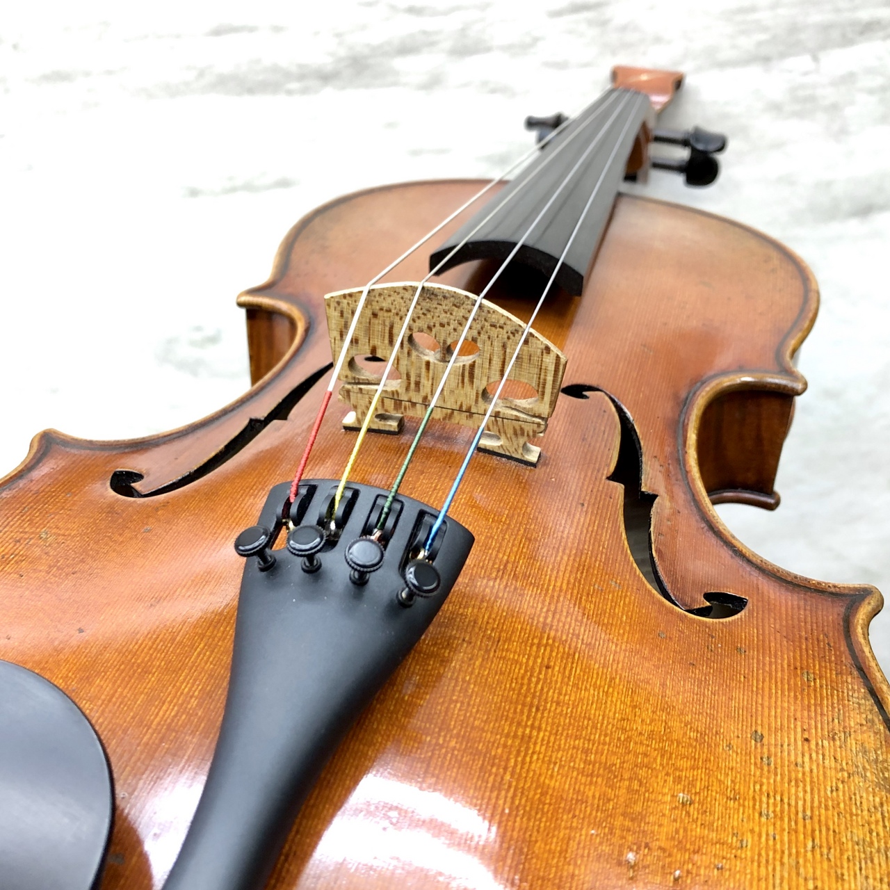 Bridge Violins Tasman《Viola》[39.5cm] S/N TV40535（新品/送料無料）【楽器検索デジマート】