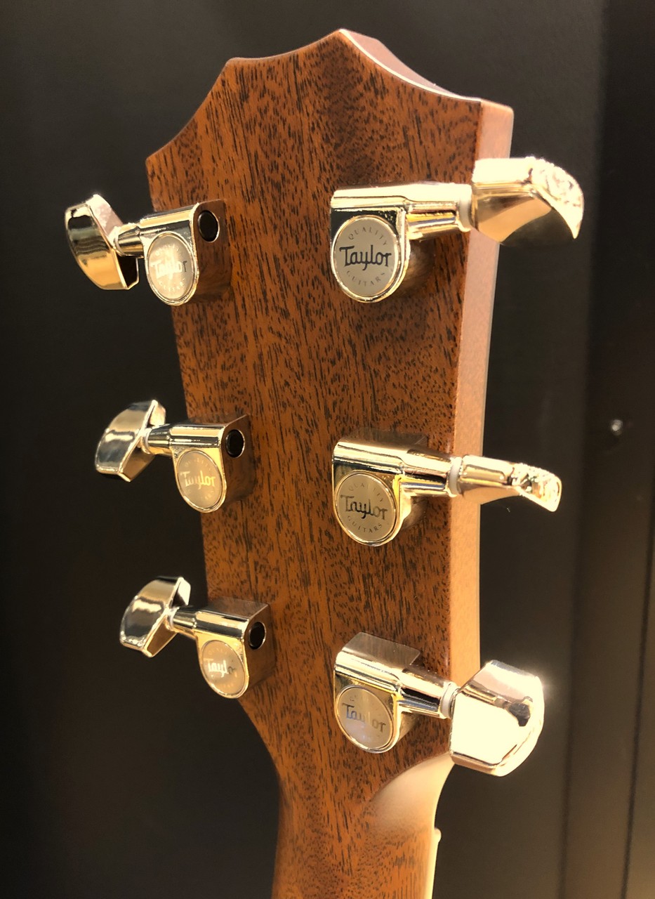 Taylor 312ce（新品/送料無料）【楽器検索デジマート】