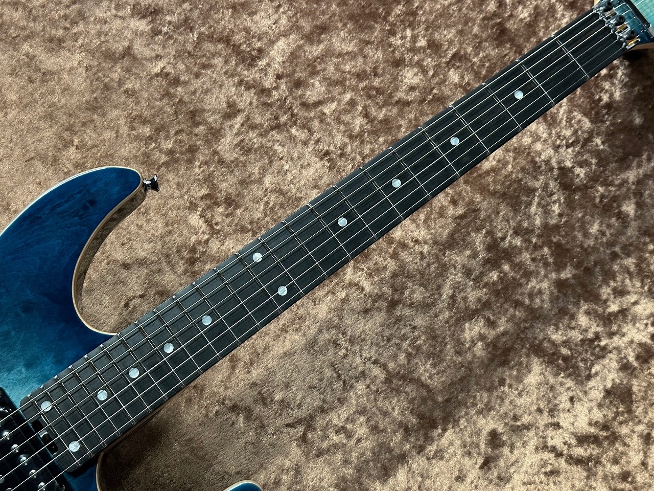 SCHECTER NV-24-FR-2H-KCK/PURSB/E ≒4.332Kg #2508020【ショップ限定