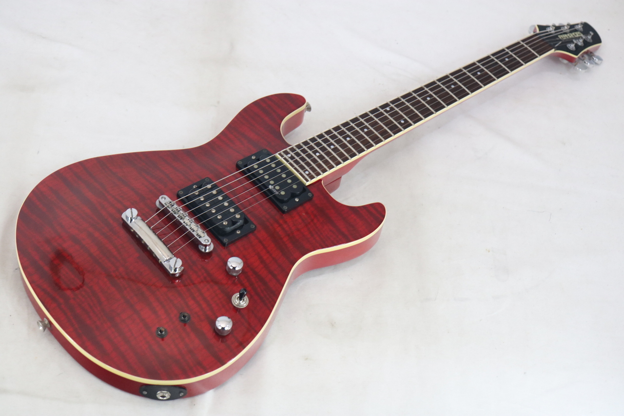 ギター FERNANDES APG-55S SBL FERNANDES APG-55S（中古）【楽器検索デジマート】
