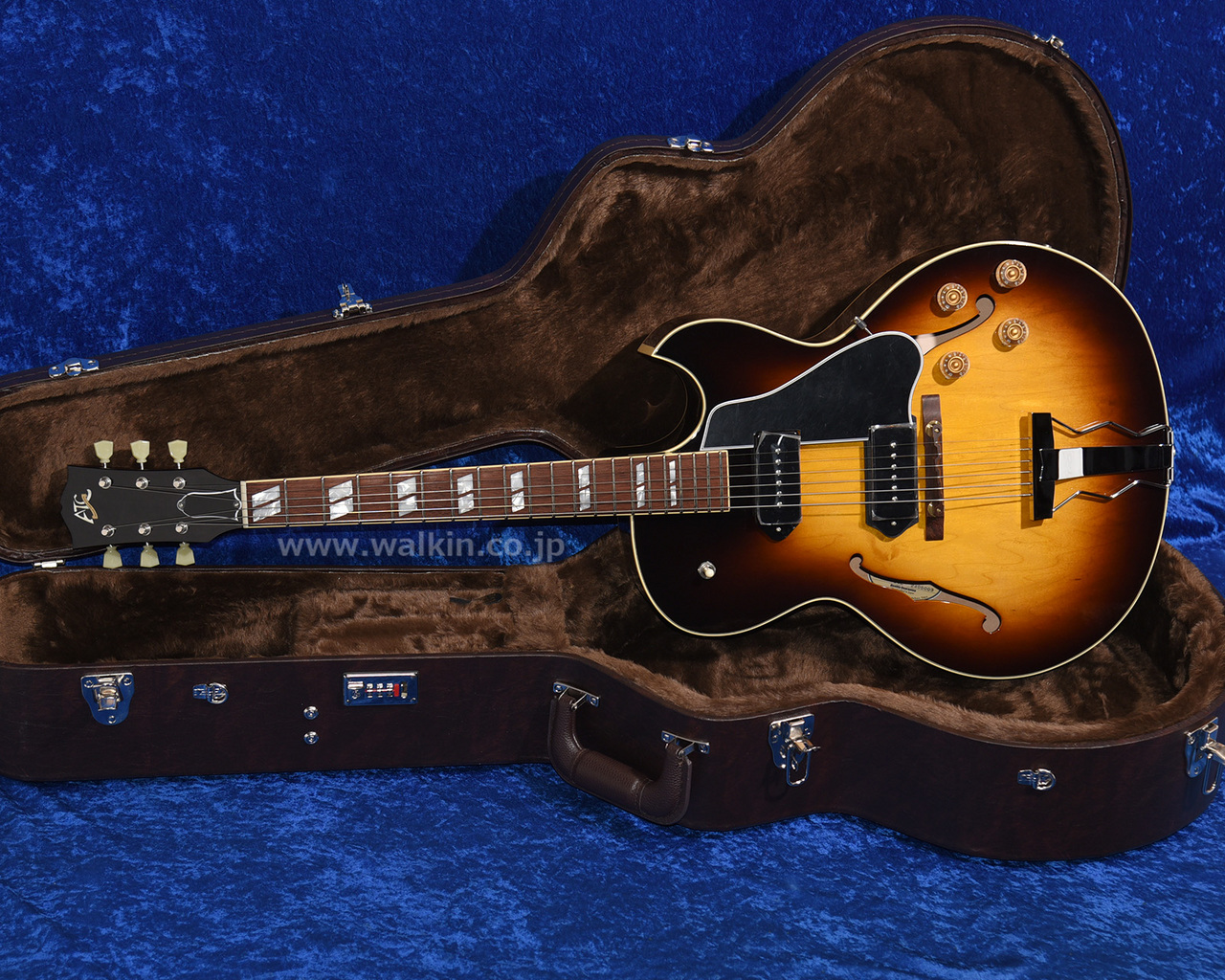 Archtop Tribute ATC175D Classic（新品）【楽器検索デジマート】
