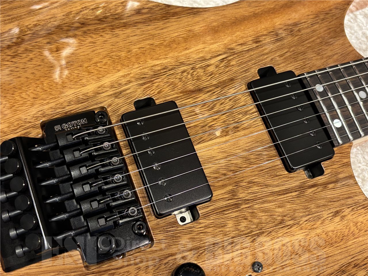 Black Smoker Futura-S FL HH【Natural】（新品/送料無料）【楽器検索