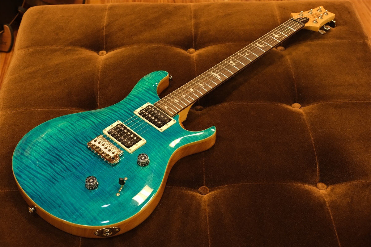 Paul Reed Smith(PRS) SE Custom 24 / Blue Matteo Natural Back