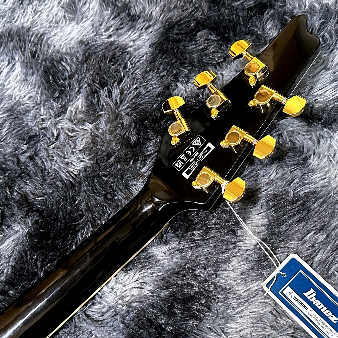 Ibanez FRM350-BK (Black) -Paul Gilbert Signature- 【2025年製