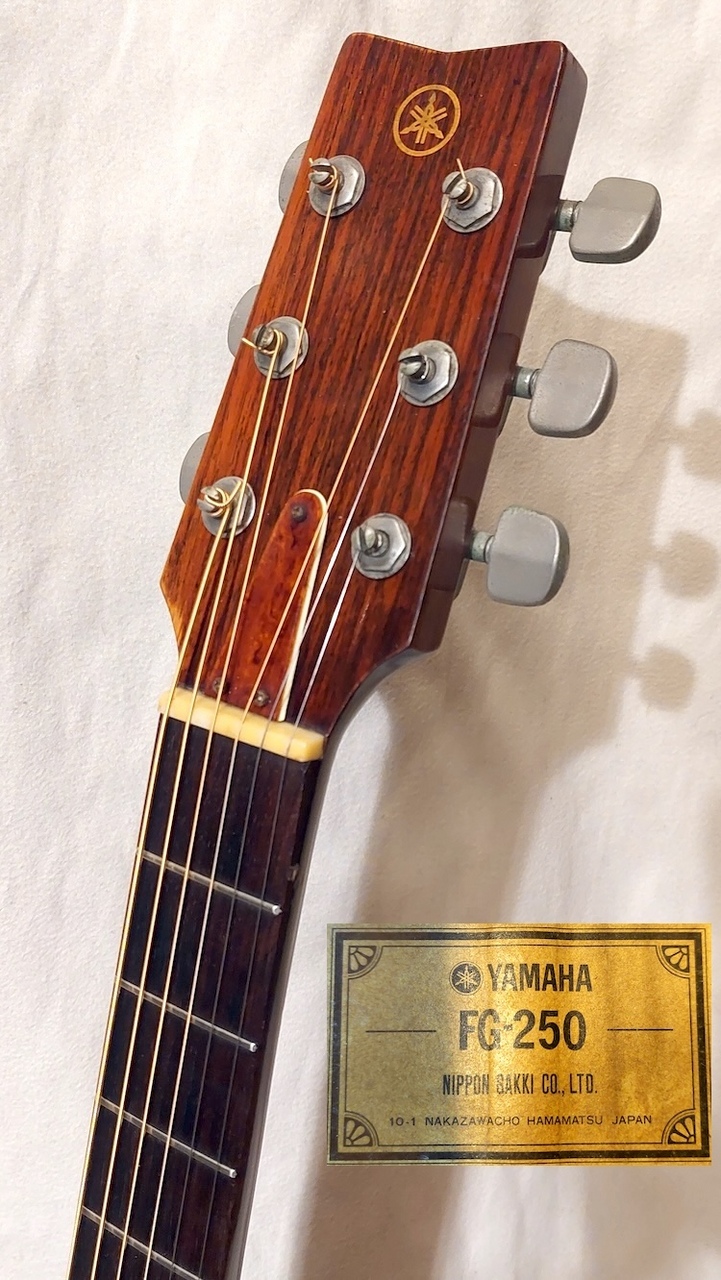 YAMAHA アコースティックギター FG-250 グリーンラベル 🌸YAMAHA FG250 グリーンラベル | 青春のギターリペア K2