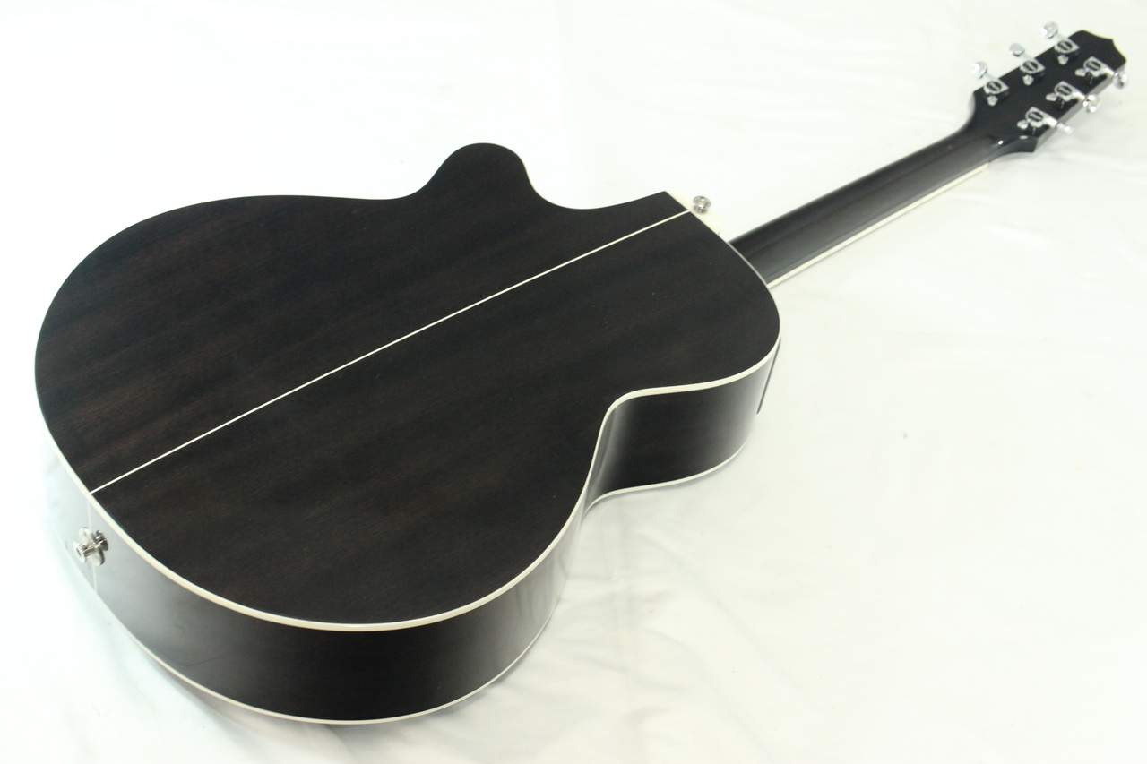 Takamine DSP-110（中古）【楽器検索デジマート】