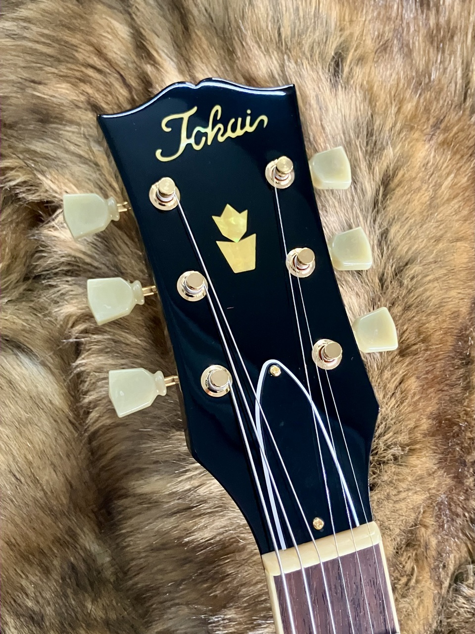 Tokai ES-201G BB 【清水巴町本店】（新品特価）【楽器検索デジマート】