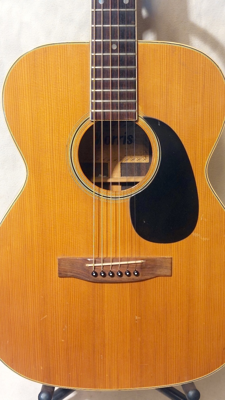 Morris F-25 アコースティックギター F-25 | 生産完了品 | MORRIS GUITARS モーリスギター