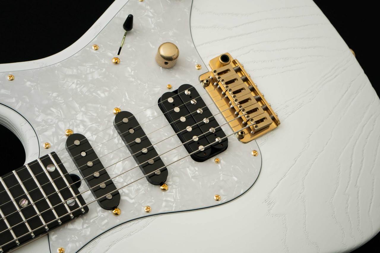 T's Guitars DST Pro 24 Ebony -Steps White Mat-（新品/送料無料